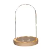 Graine Créative Cloche En Verre Lumineuse 21,5cm X Ø14cm 20