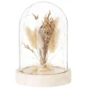 Maisons Du Monde Déco Lumineuse En Paulownia Et Verre 17