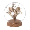 Maisons Du Monde Globe Lumineux En Verre, Fleurs Séchées Sur Support En Liège 5