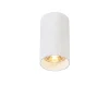 QAZQA Spot Plafond En Acier Blanc 22